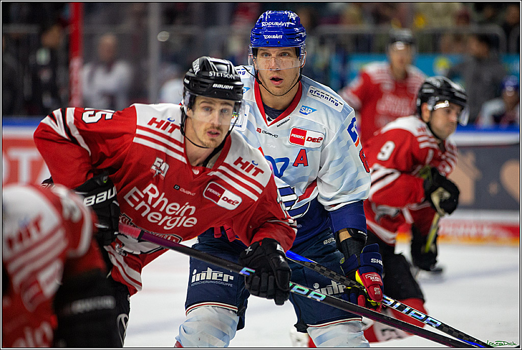 PENNY DEL; Koelner Haie- Adler Mannheim; Koeln, 04.11.2022